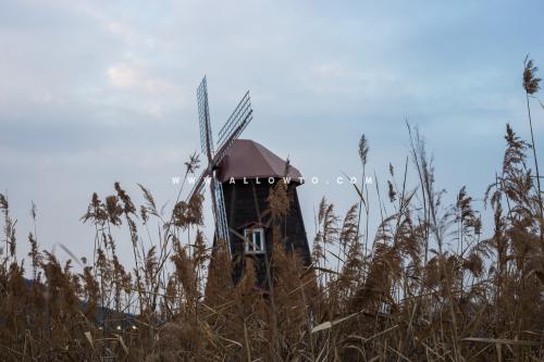 [THUMBNAIL] windmill