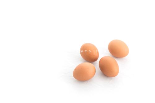 [THUMBNAIL] 귀여운 달걀