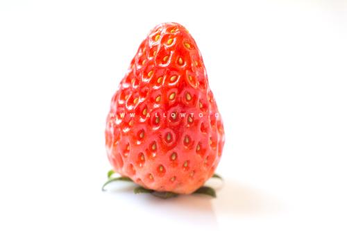 [THUMBNAIL] 우뚝선 딸기