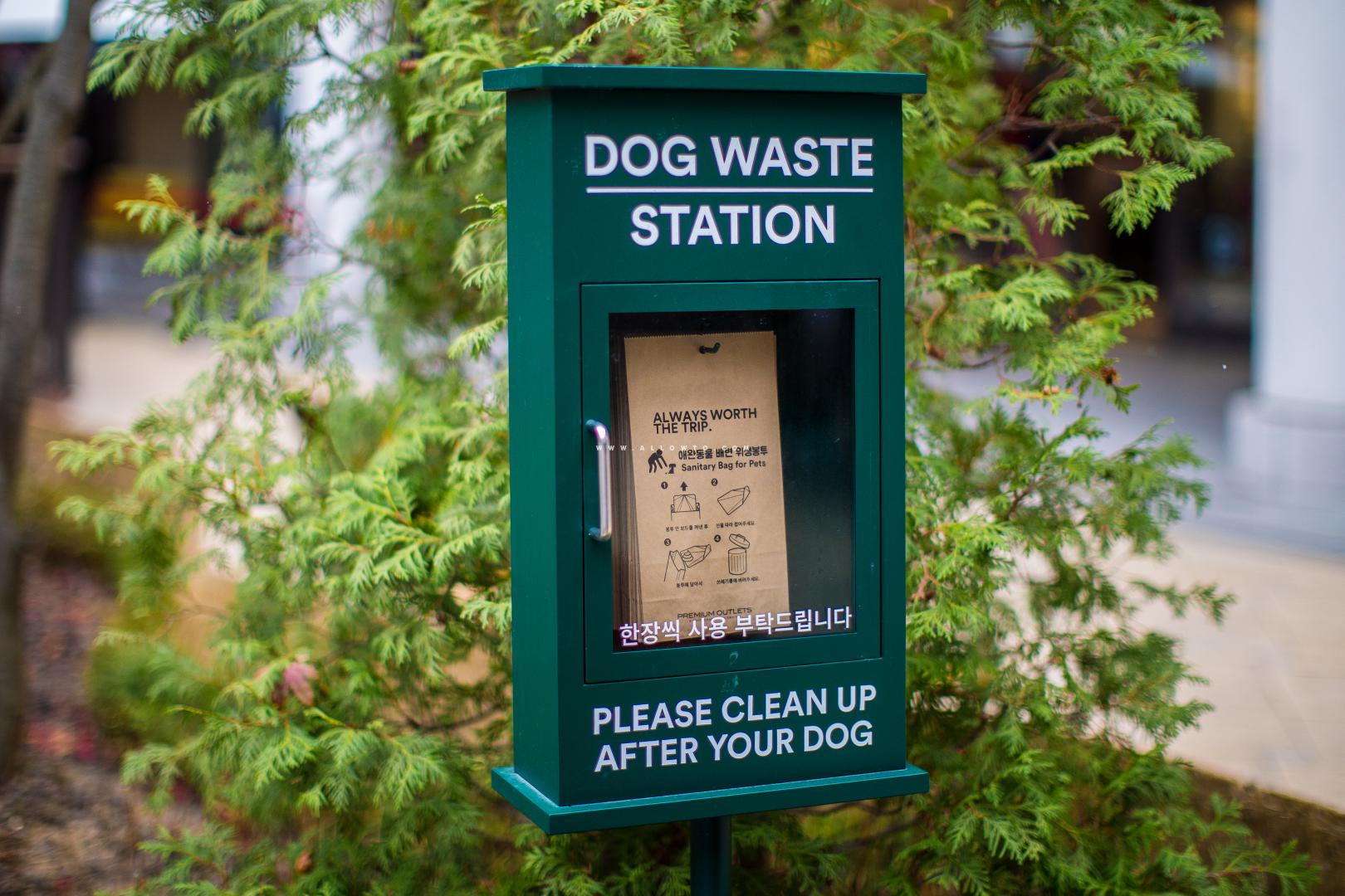 DOG WASTE STATION