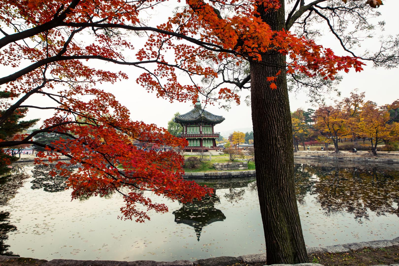 경복궁 향원정