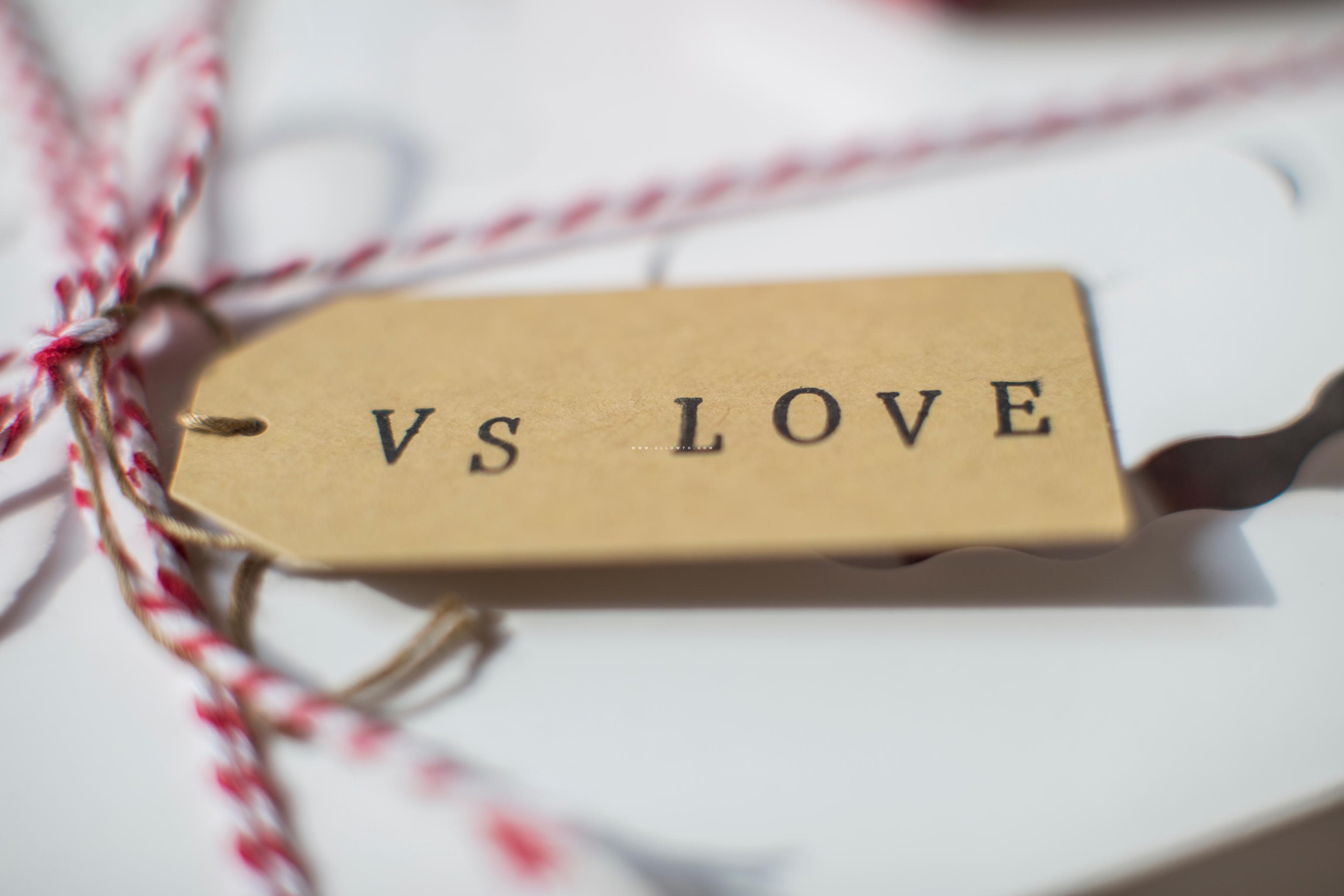 [THUMBNAIL] vs love