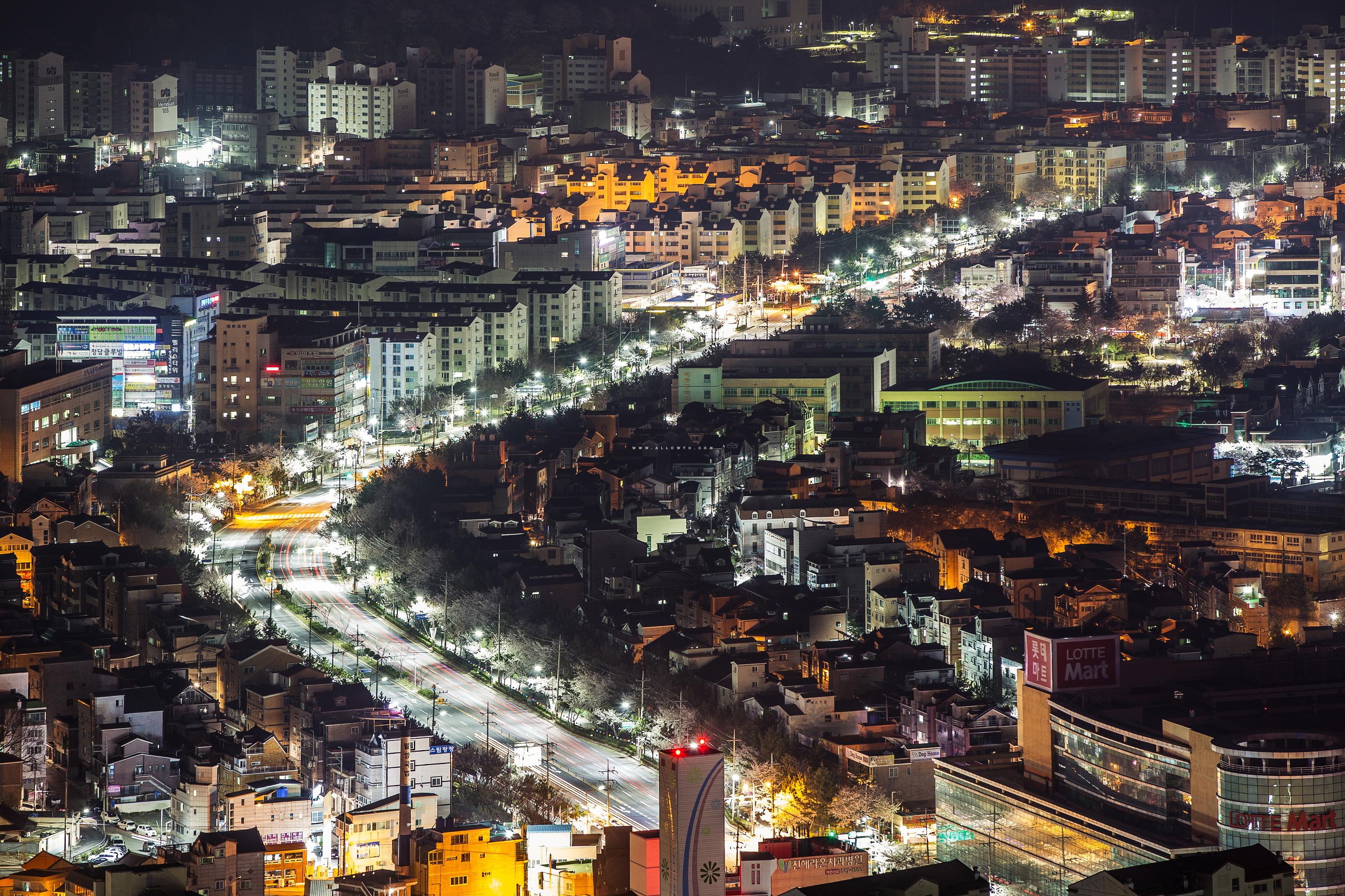 [THUMBNAIL] 진해도시 벚꽃로드